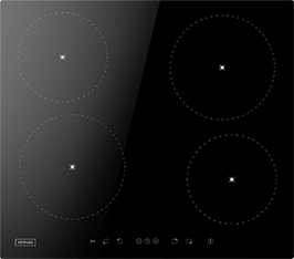 Induktionsfeld Reparatur Blankenburg